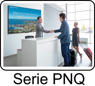 PN-Q901E / PN-Q801E / PN-Q701E / PN-Q601E-image